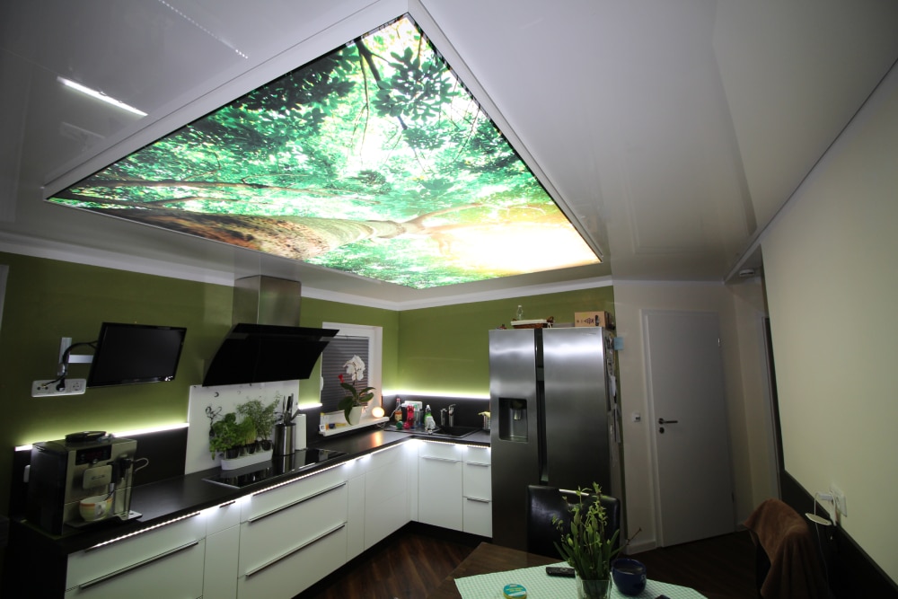 Küchendecke mit Motiv einer Baumkrone